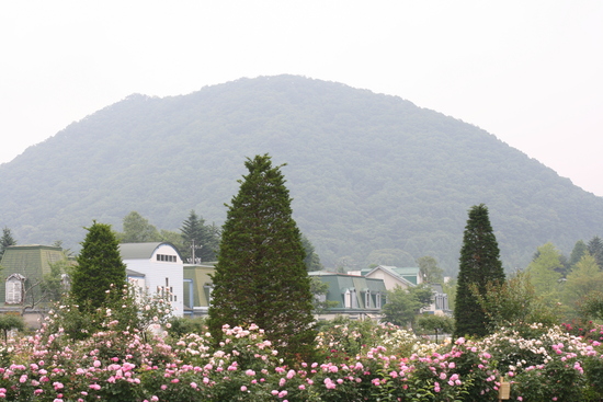 e0128322_211153.jpg