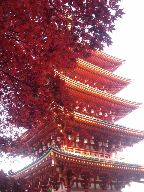 b0199924_8565017.jpg
