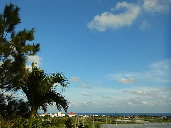 e0002927_1004773.jpg
