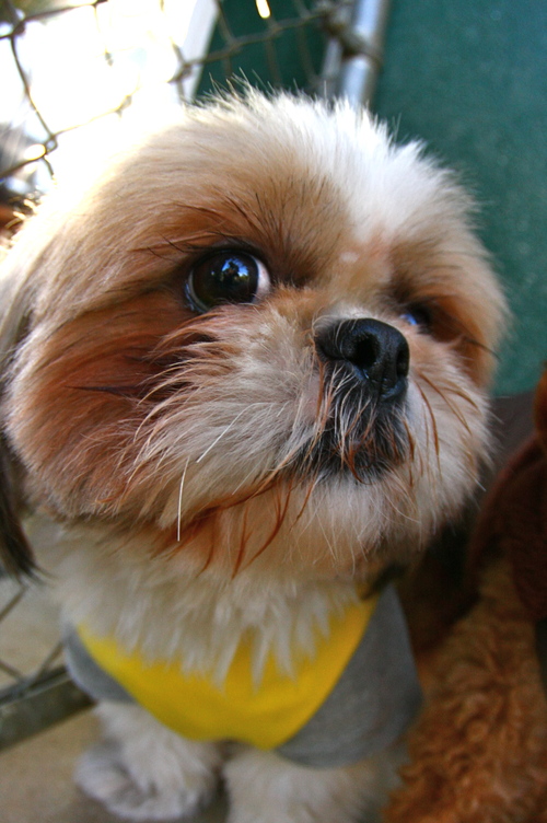d0158028_2010615.jpg