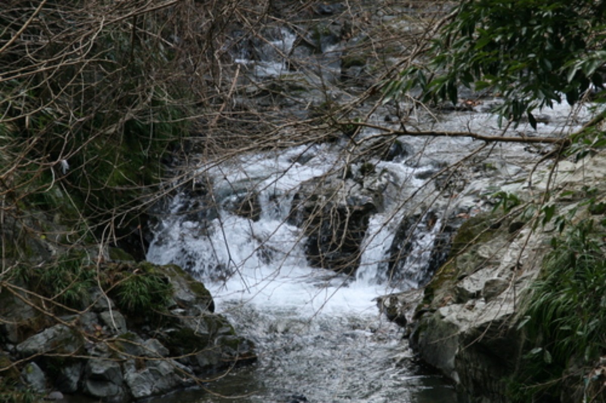 e0033229_21145075.jpg