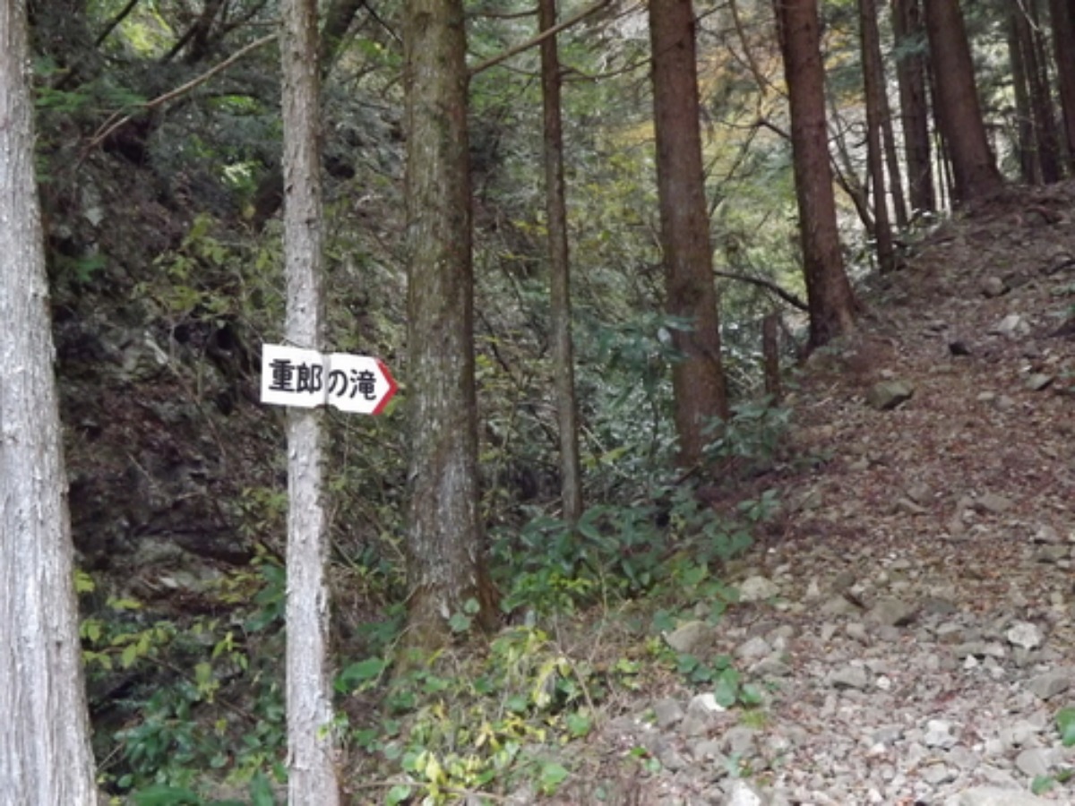 e0033229_21235382.jpg