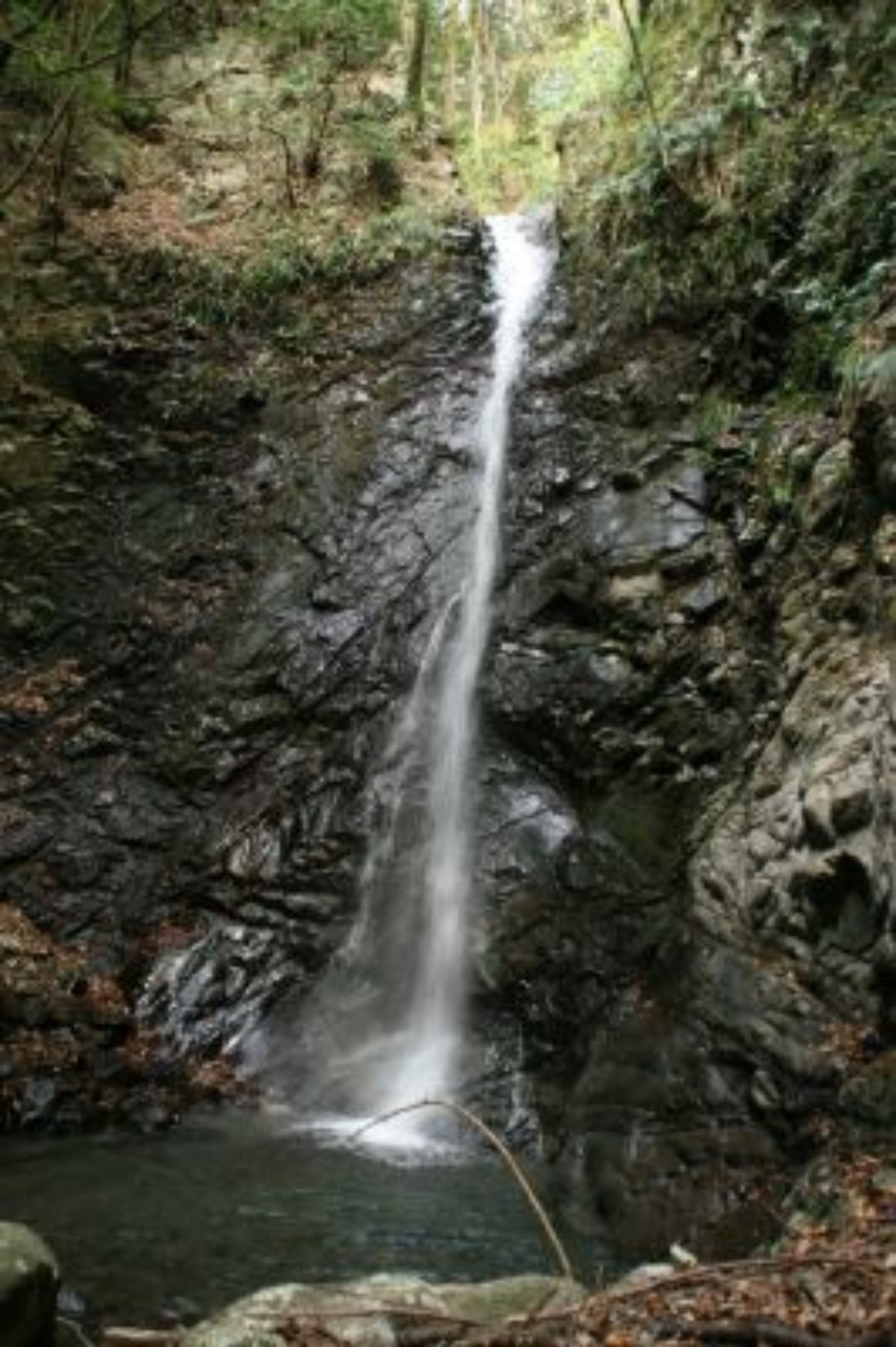 e0033229_21312866.jpg
