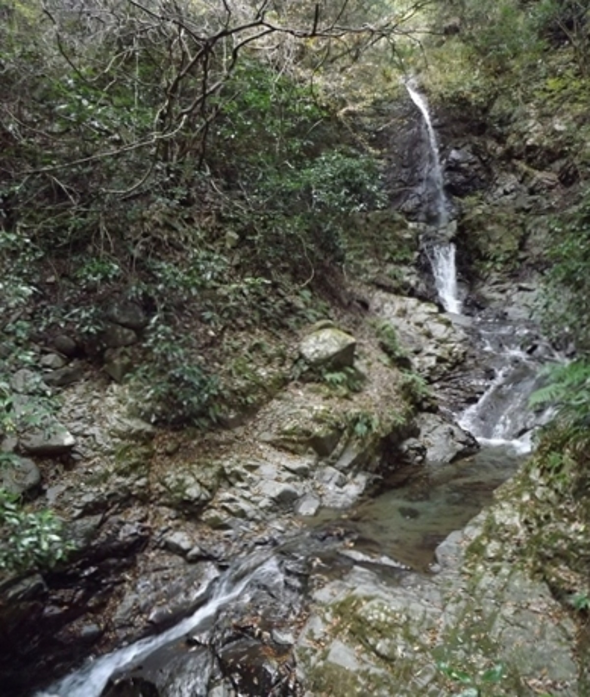 e0033229_2149563.jpg