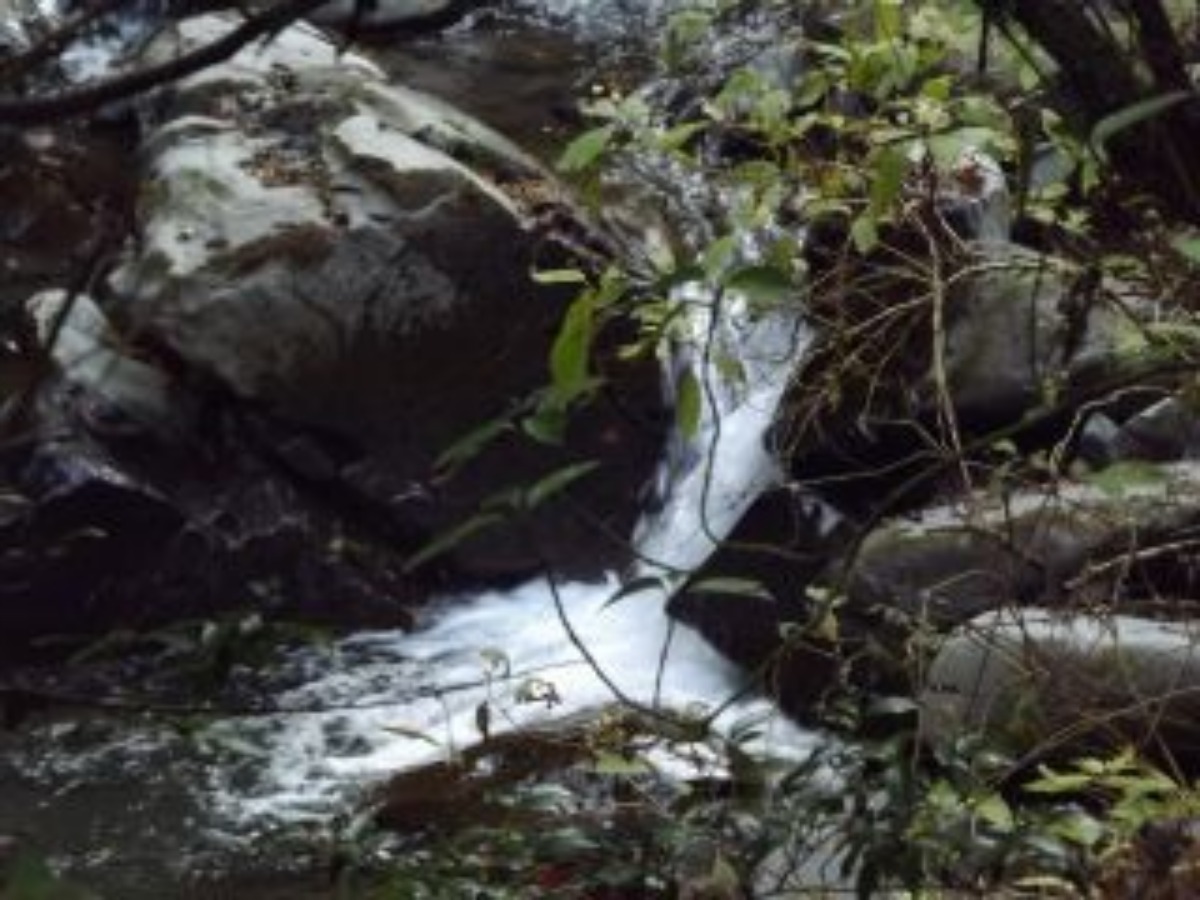 e0033229_2214676.jpg
