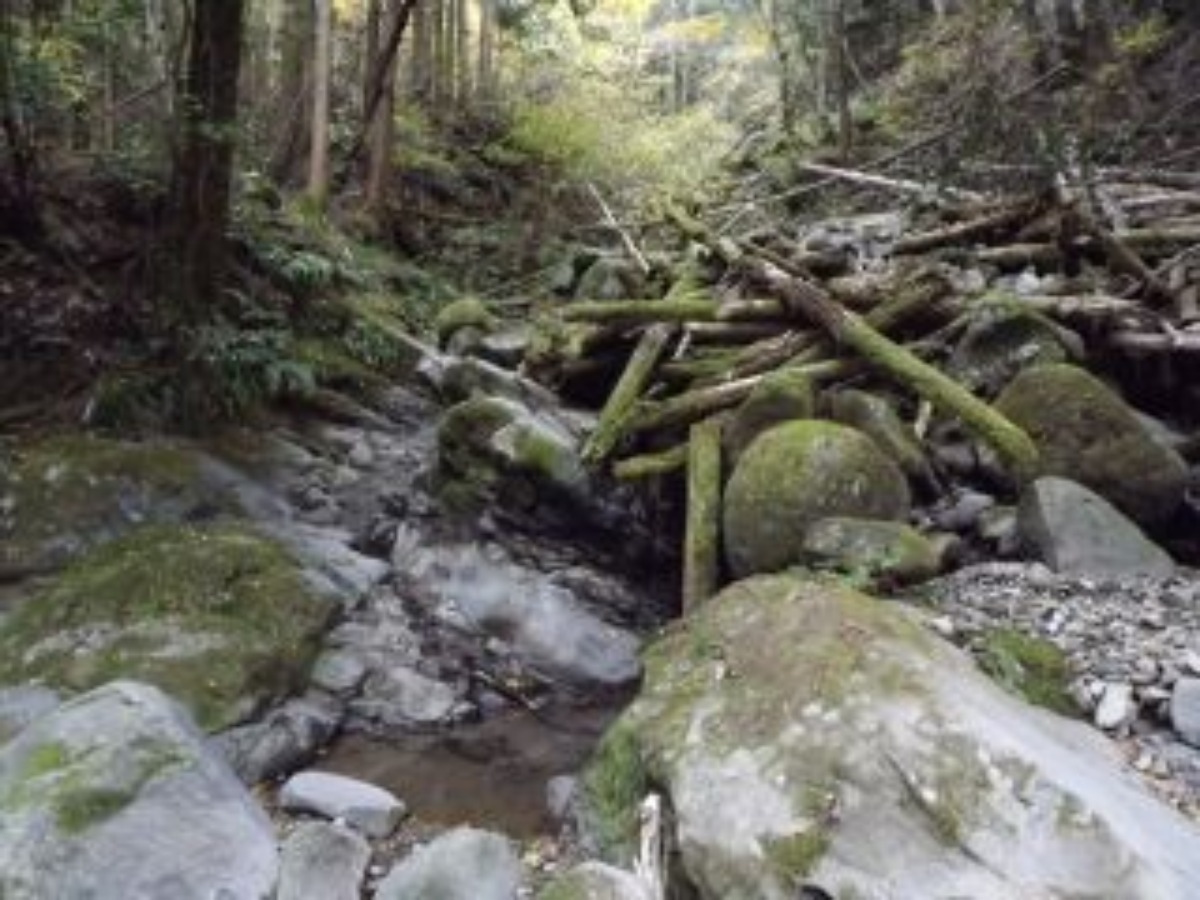 e0033229_2223349.jpg