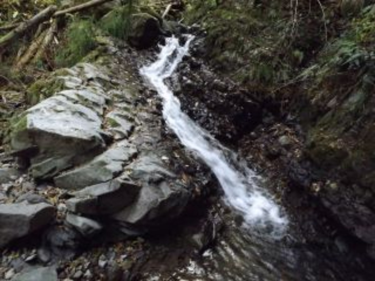 e0033229_22244860.jpg