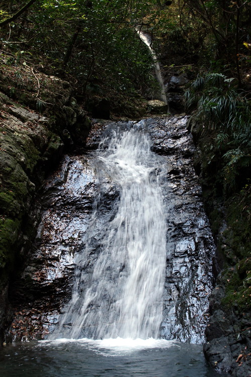 e0033229_2285941.jpg