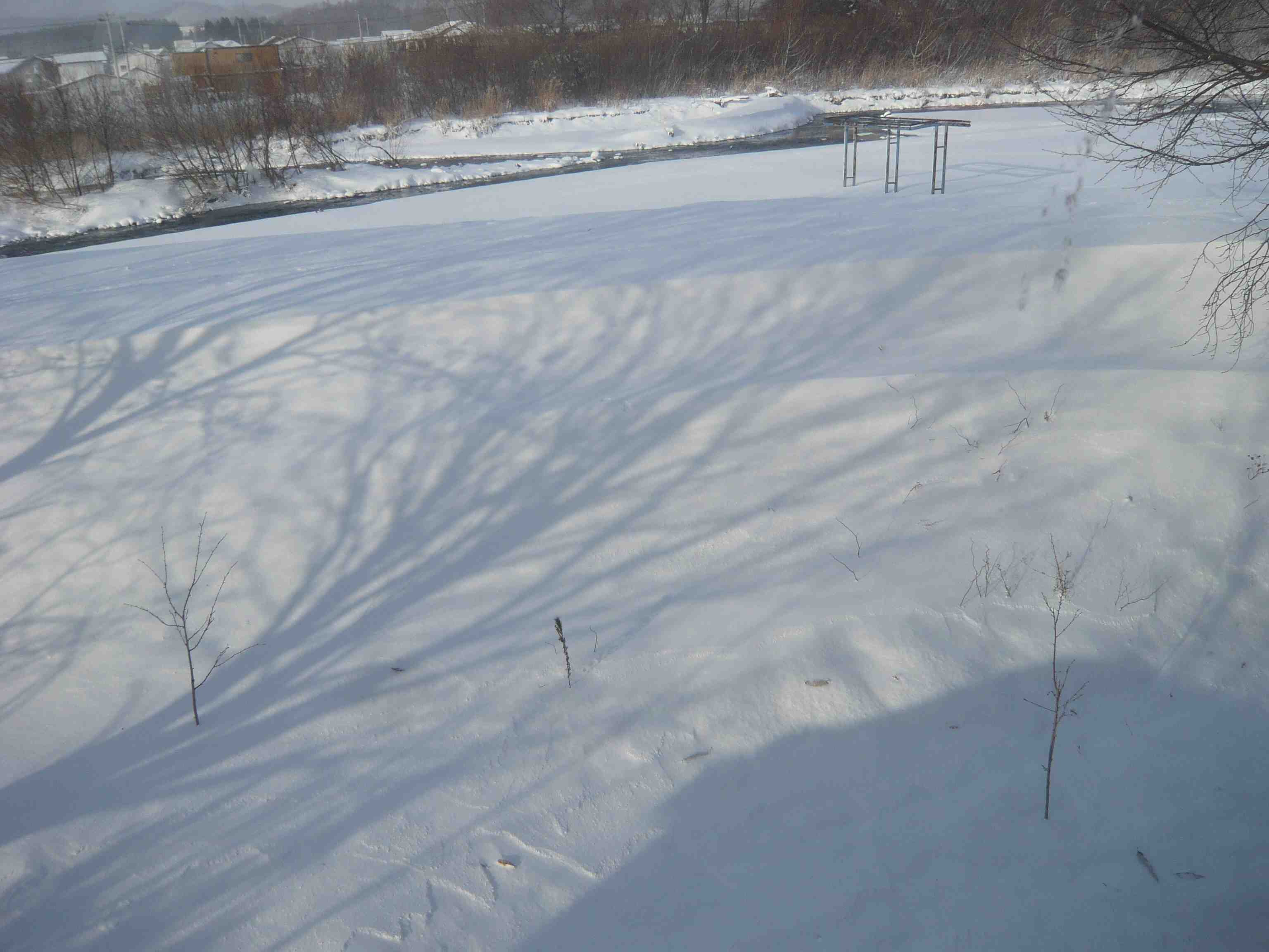 d0217833_1011986.jpg