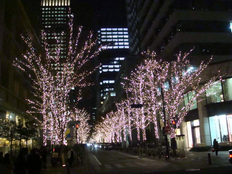 a0046339_15185293.jpg