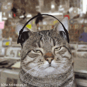 a0087146_10253855.gif