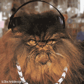 a0087146_10262124.gif