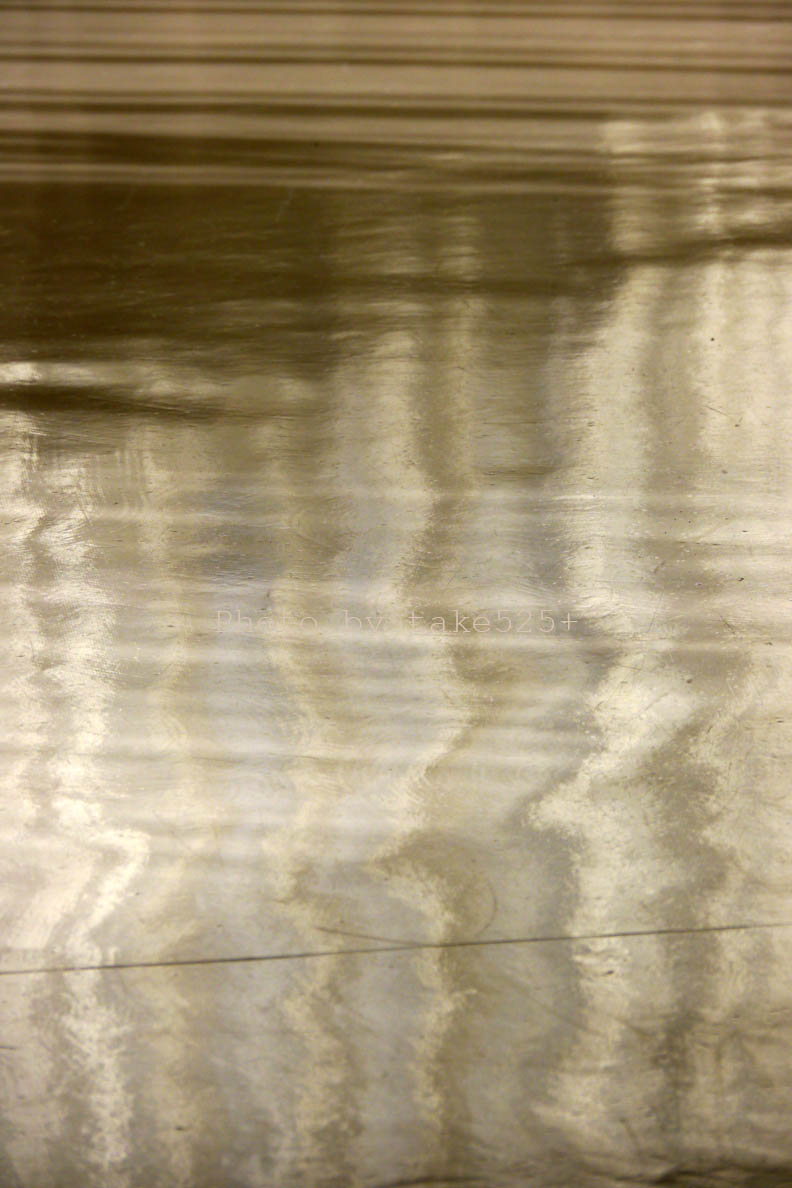 a0116946_21131149.jpg