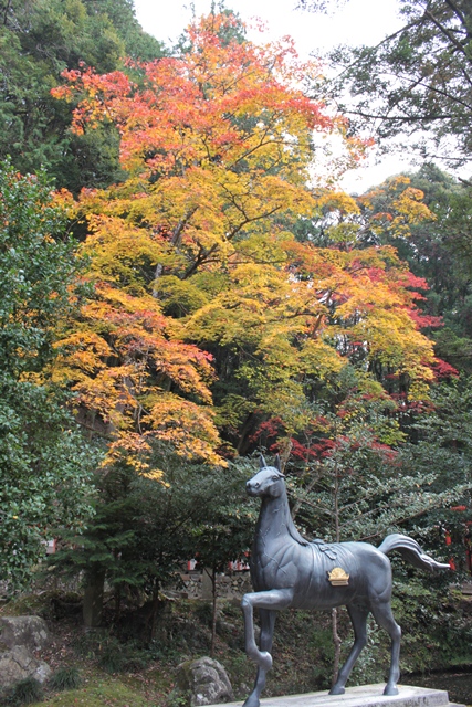 e0017051_20112184.jpg