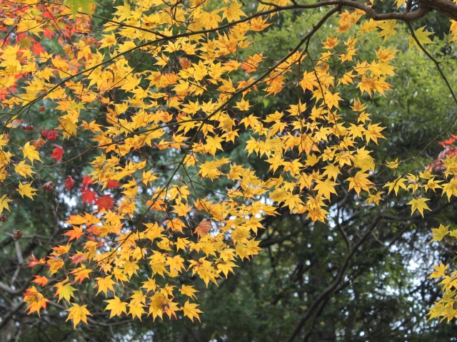 e0017051_20114424.jpg