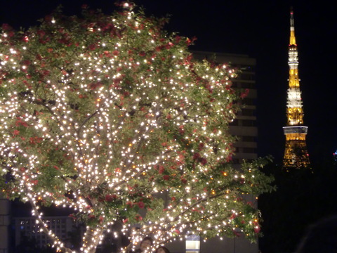 c0206352_2254490.jpg