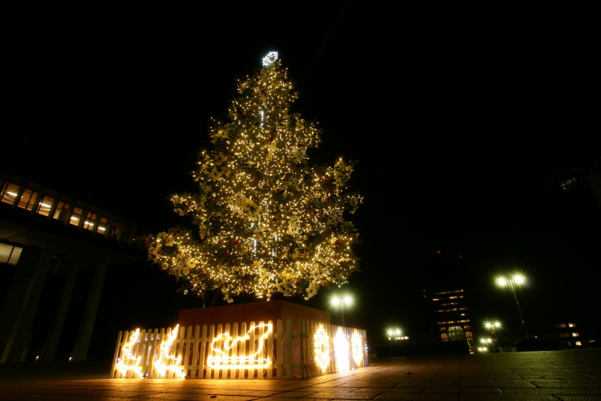 d0173255_2164892.jpg