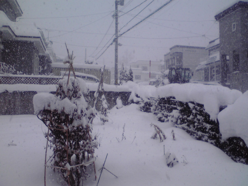 f0057955_2264079.jpg