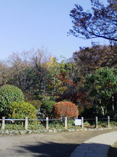 f0112873_11324586.jpg