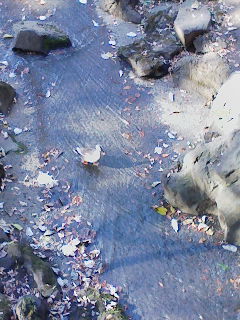 f0112873_11372327.jpg