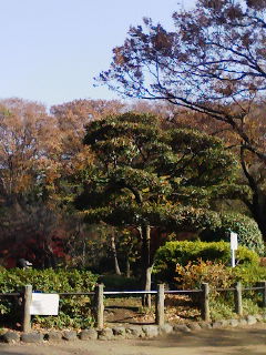 f0112873_1215379.jpg