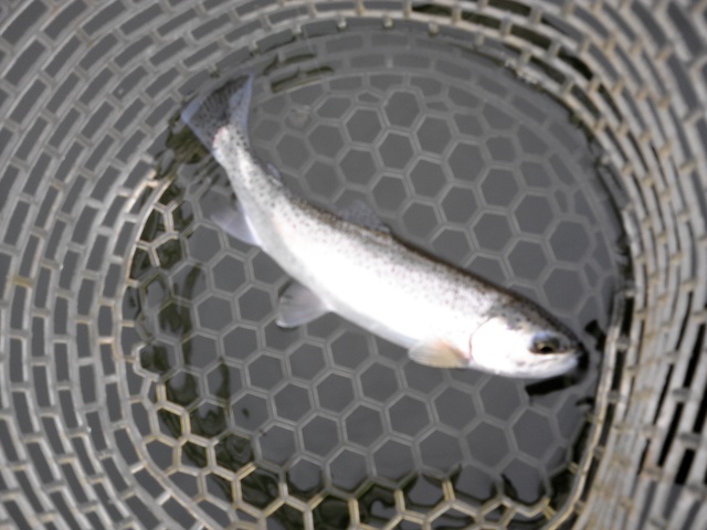 a0093677_22161388.jpg