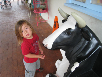 f0068883_1721745.jpg