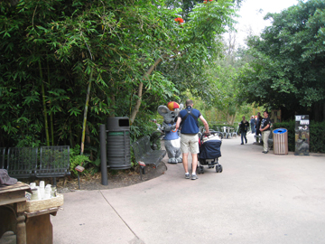 f0068883_17242793.jpg