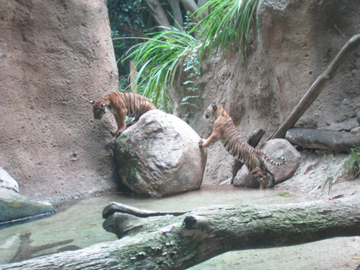 f0068883_17341979.jpg