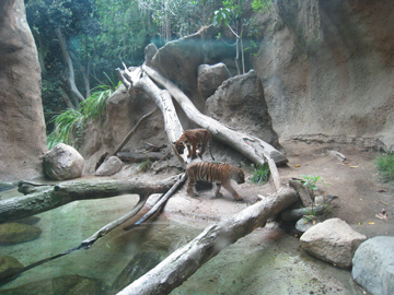f0068883_17343699.jpg