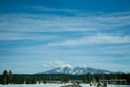 e0148185_1153198.jpg
