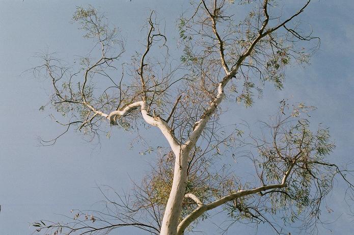 c0046587_2151735.jpg
