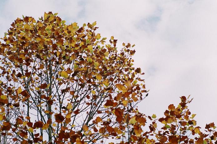 c0046587_216478.jpg