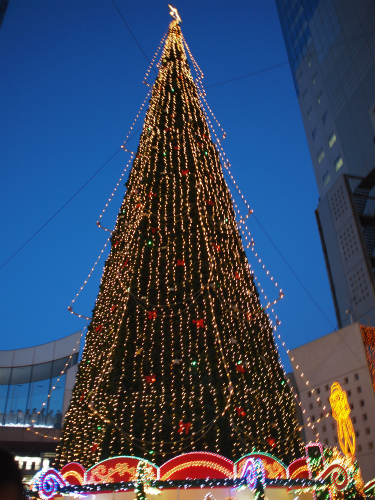 a0152391_20291433.jpg