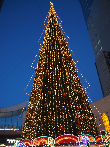 a0152391_20295658.jpg