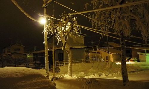 f0029393_615157.jpg