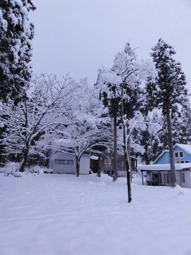 a0061599_74835.jpg