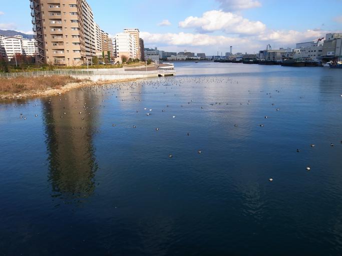 b0211800_1622798.jpg