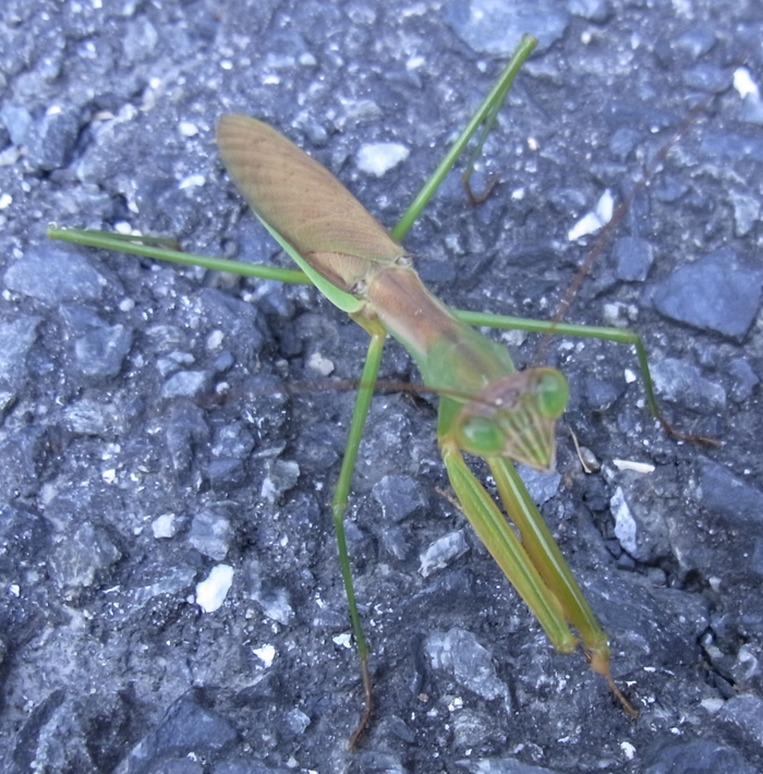 c0197004_232469.jpg