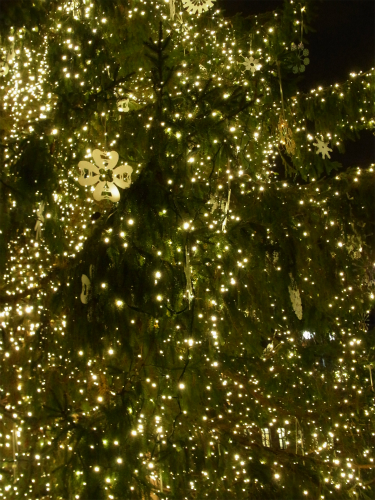 e0149604_6115637.jpg