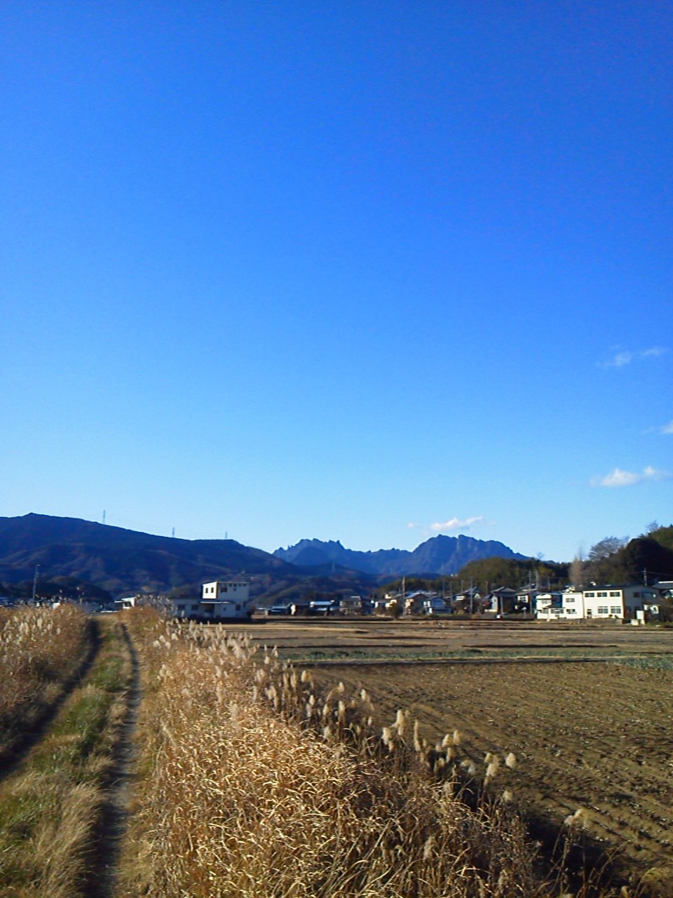 d0126708_1753552.jpg