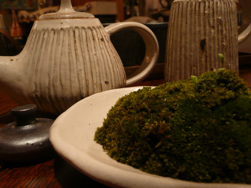 f0204110_18495850.jpg
