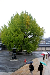 b0209919_23392145.jpg