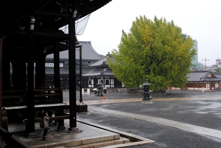 b0209919_23403532.jpg