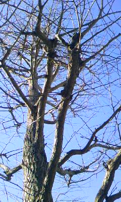 d0024220_14163585.jpg