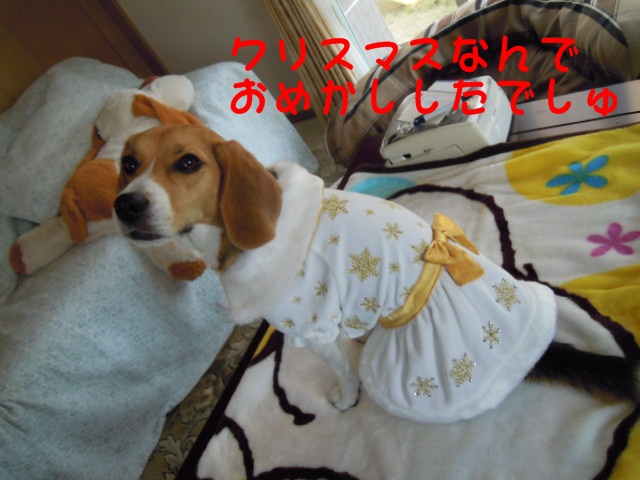 c0166622_21581446.jpg