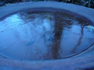 a0098027_1692548.jpg
