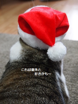 c0134727_1452559.jpg