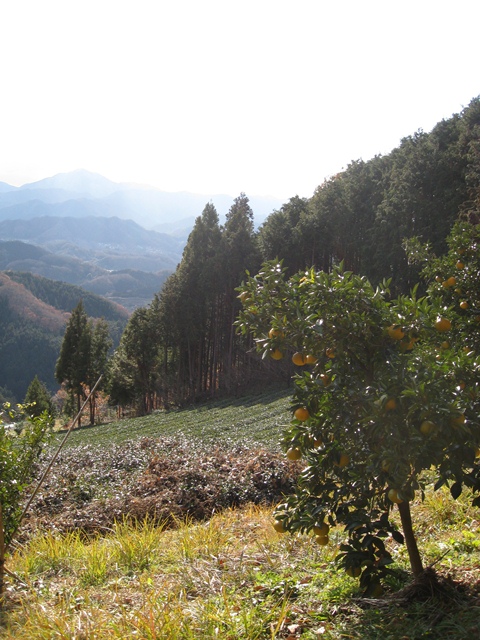 d0130927_9415548.jpg