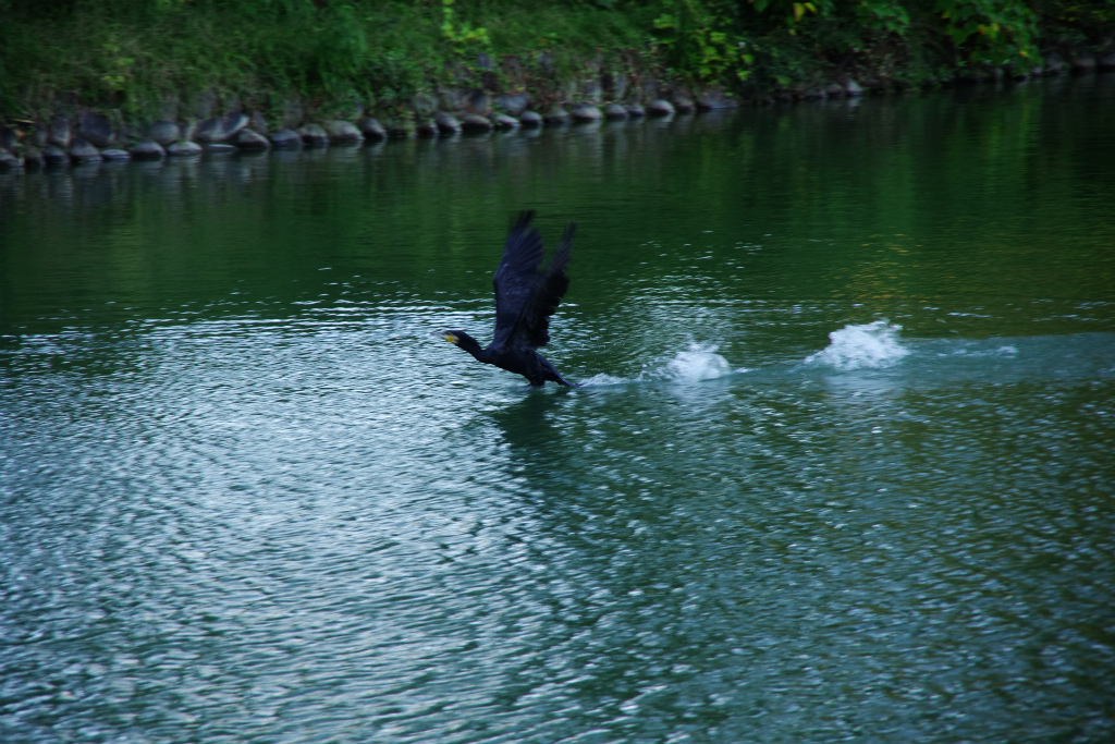 d0250028_7282975.jpg